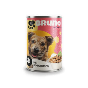 Mr Bruno Chicken